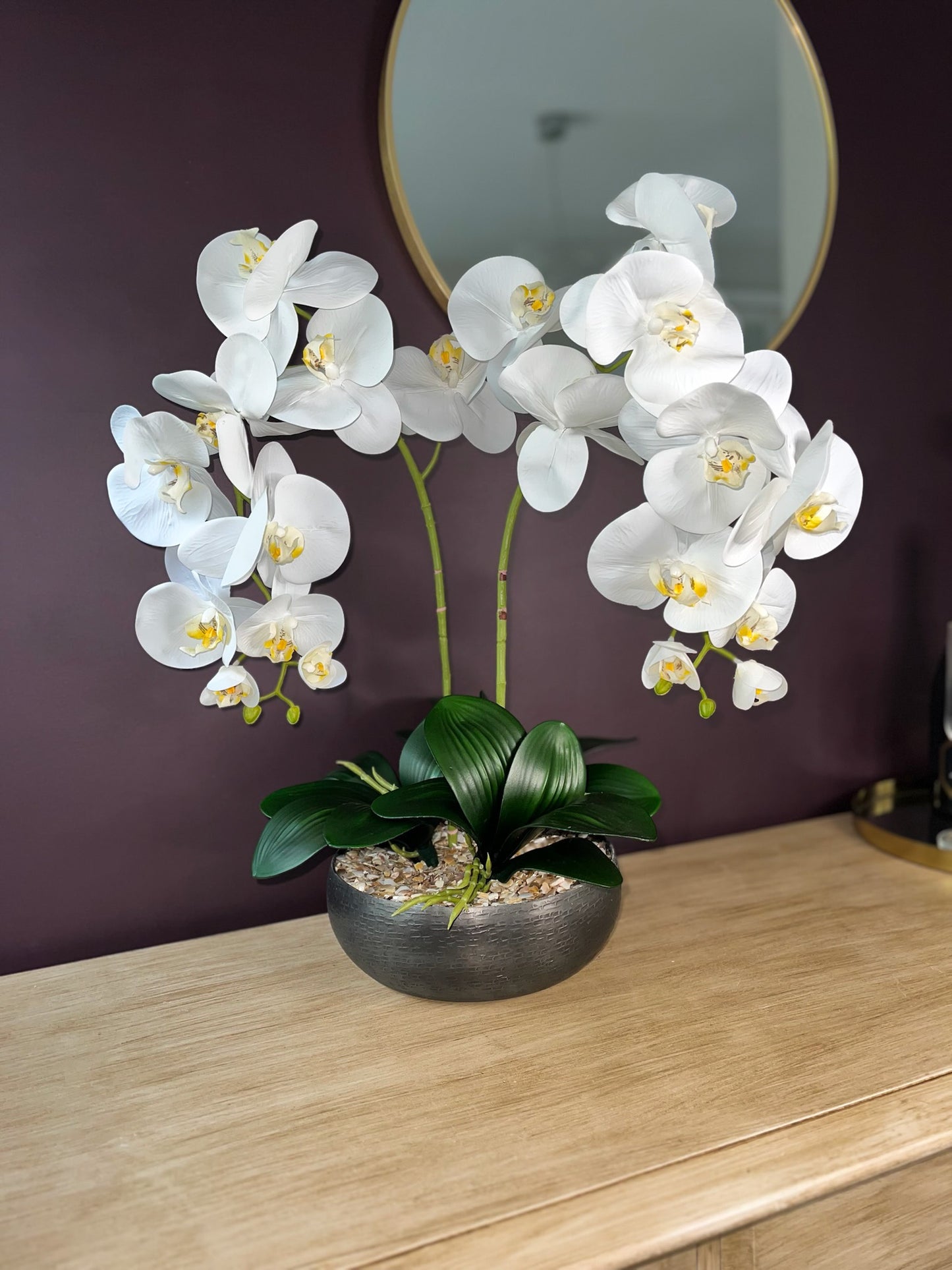 Serenity Orchid ©
