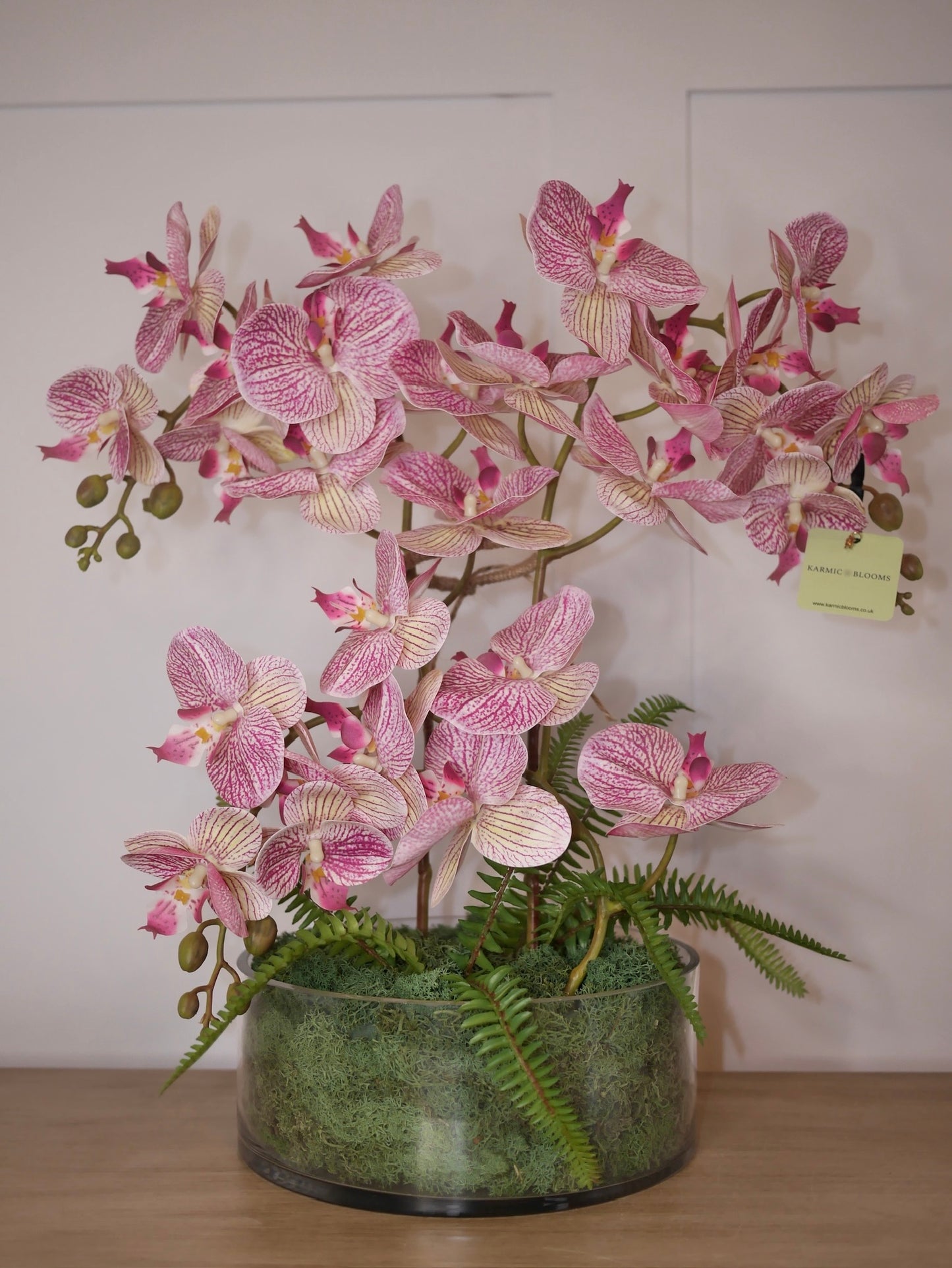 Candy Stripe Orchid ©