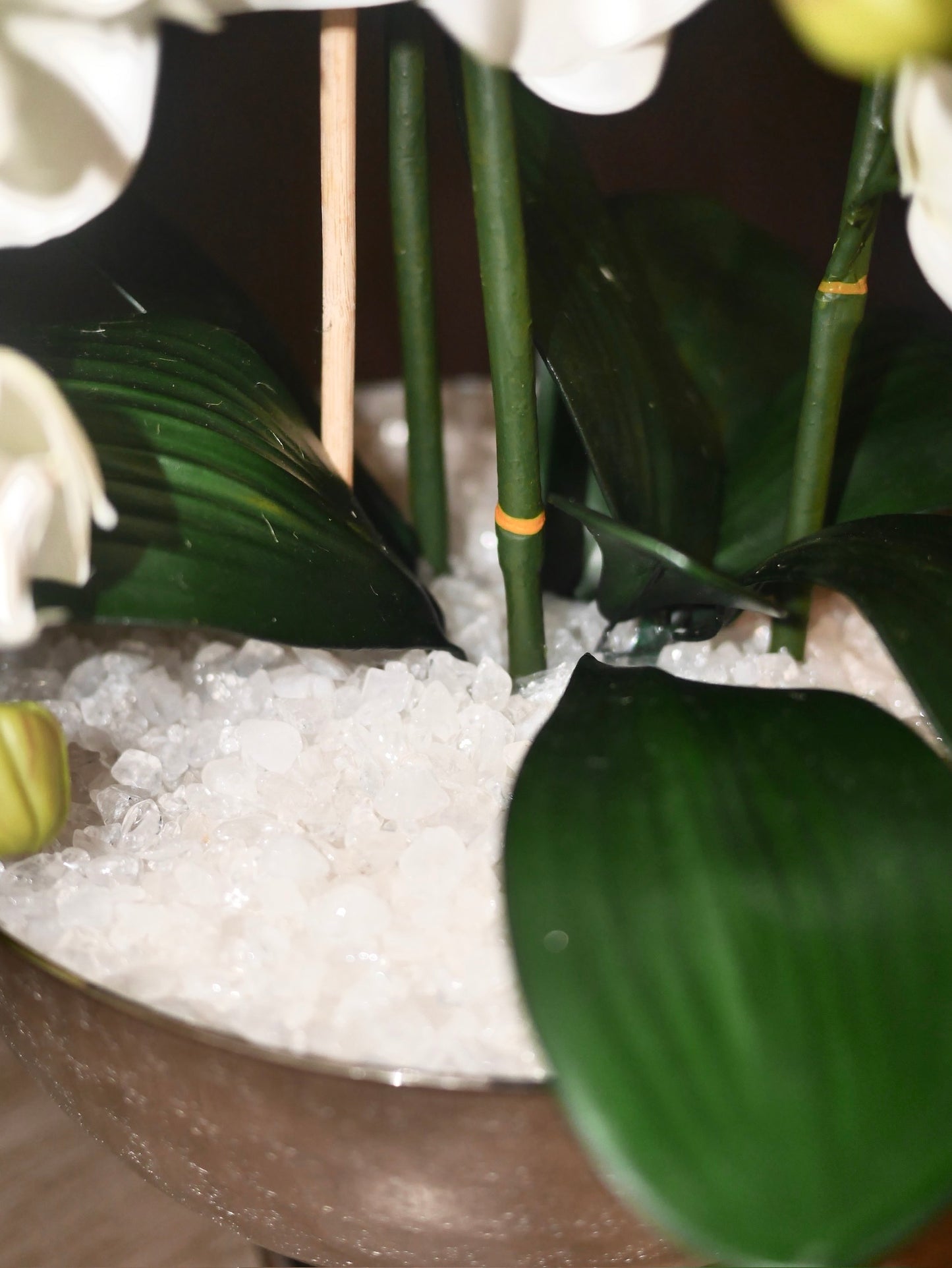 Champagne Quartz Orchid © with Clear Quartz
