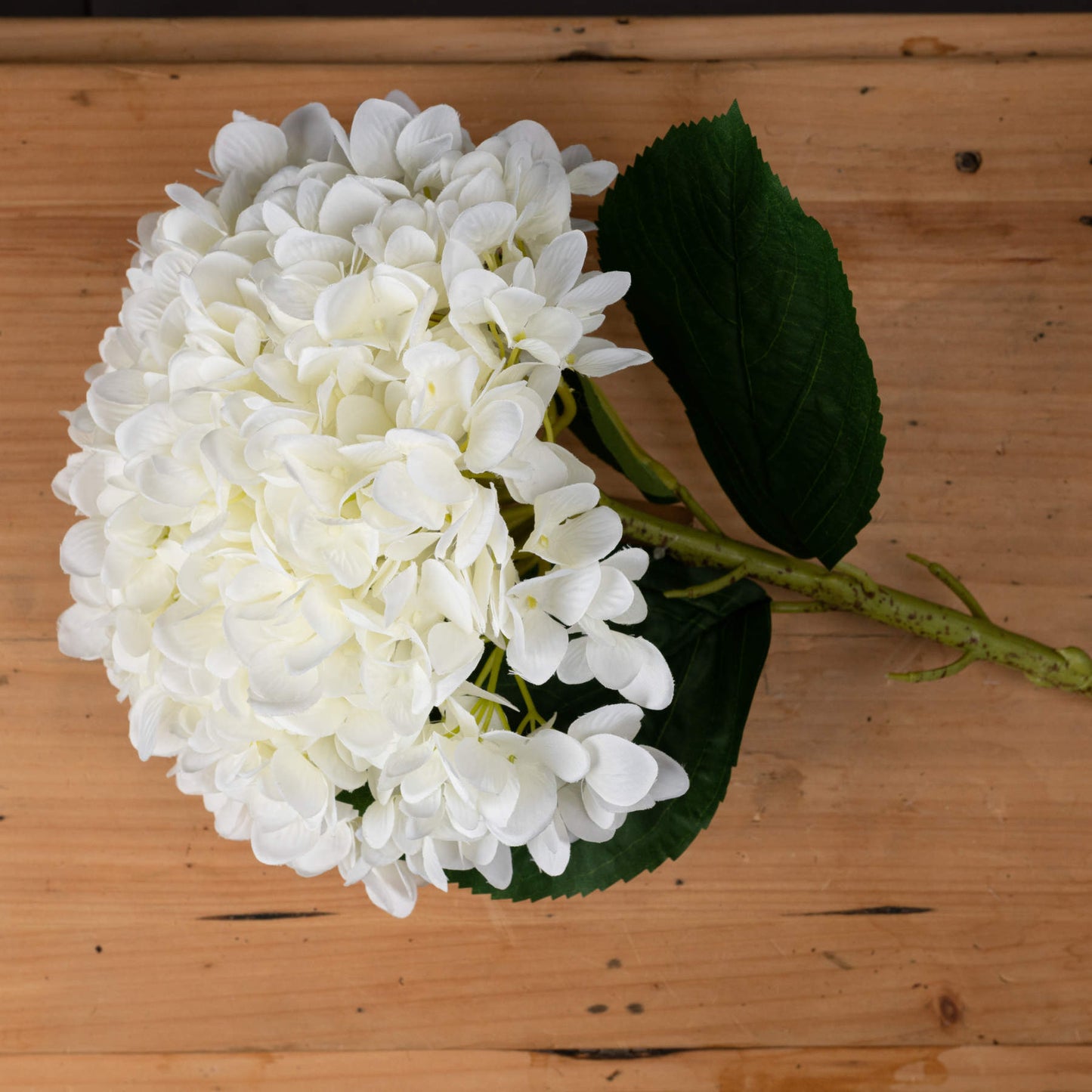 5 x Large White Hydrangea stems