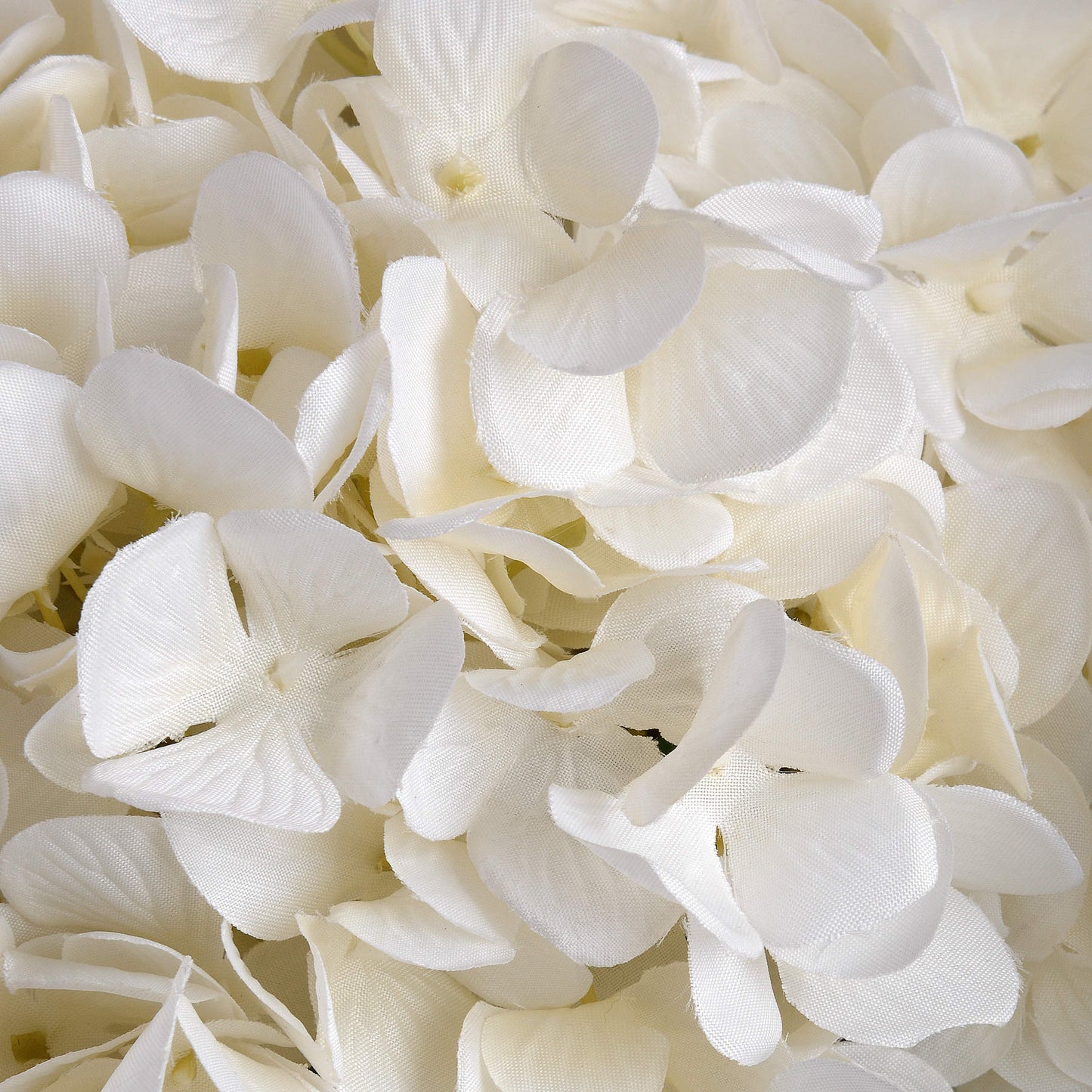 5 x Large White Hydrangea stems