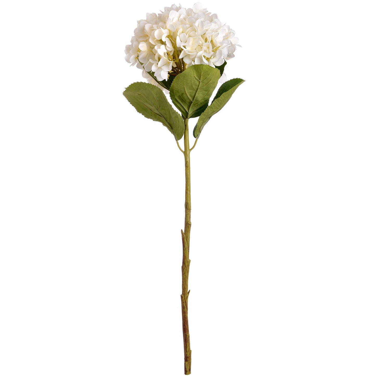 5 x Large White Hydrangea stems