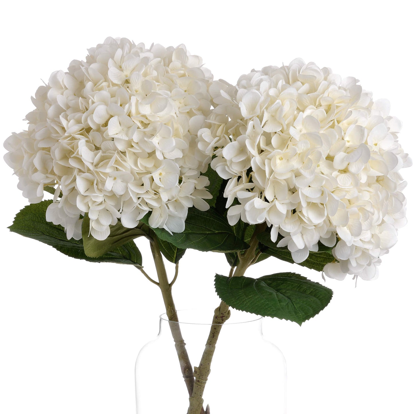 5 x Large White Hydrangea stems
