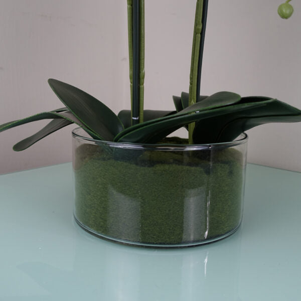 Pink Orchid in glass planter 50CMS