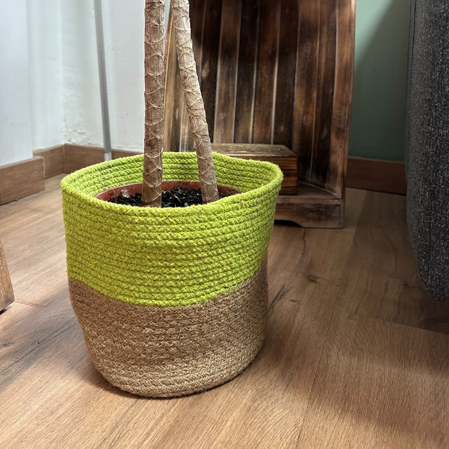 Pistachio Cotton Rope Storage Baskets x 3