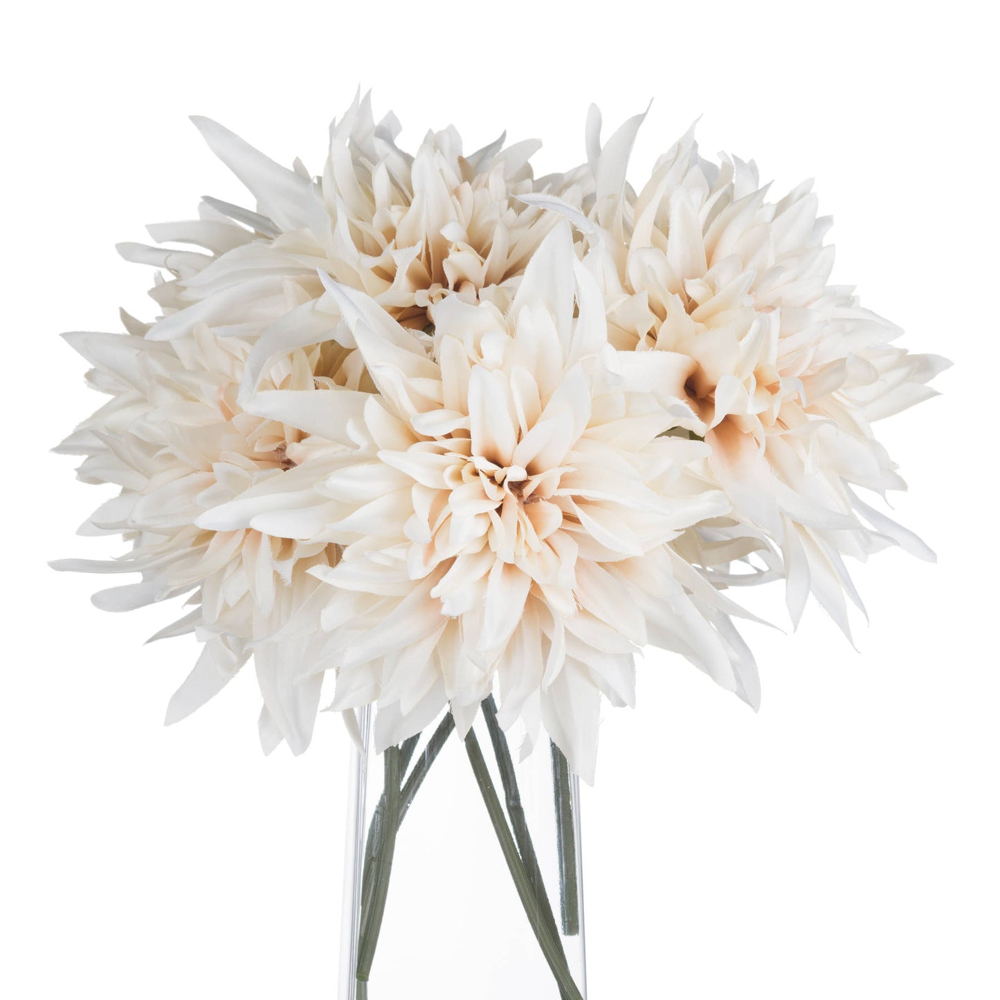 Cafe au lait Flower Stem