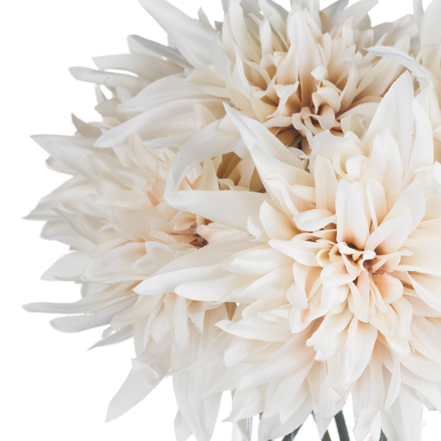 Cafe au lait Flower Stem