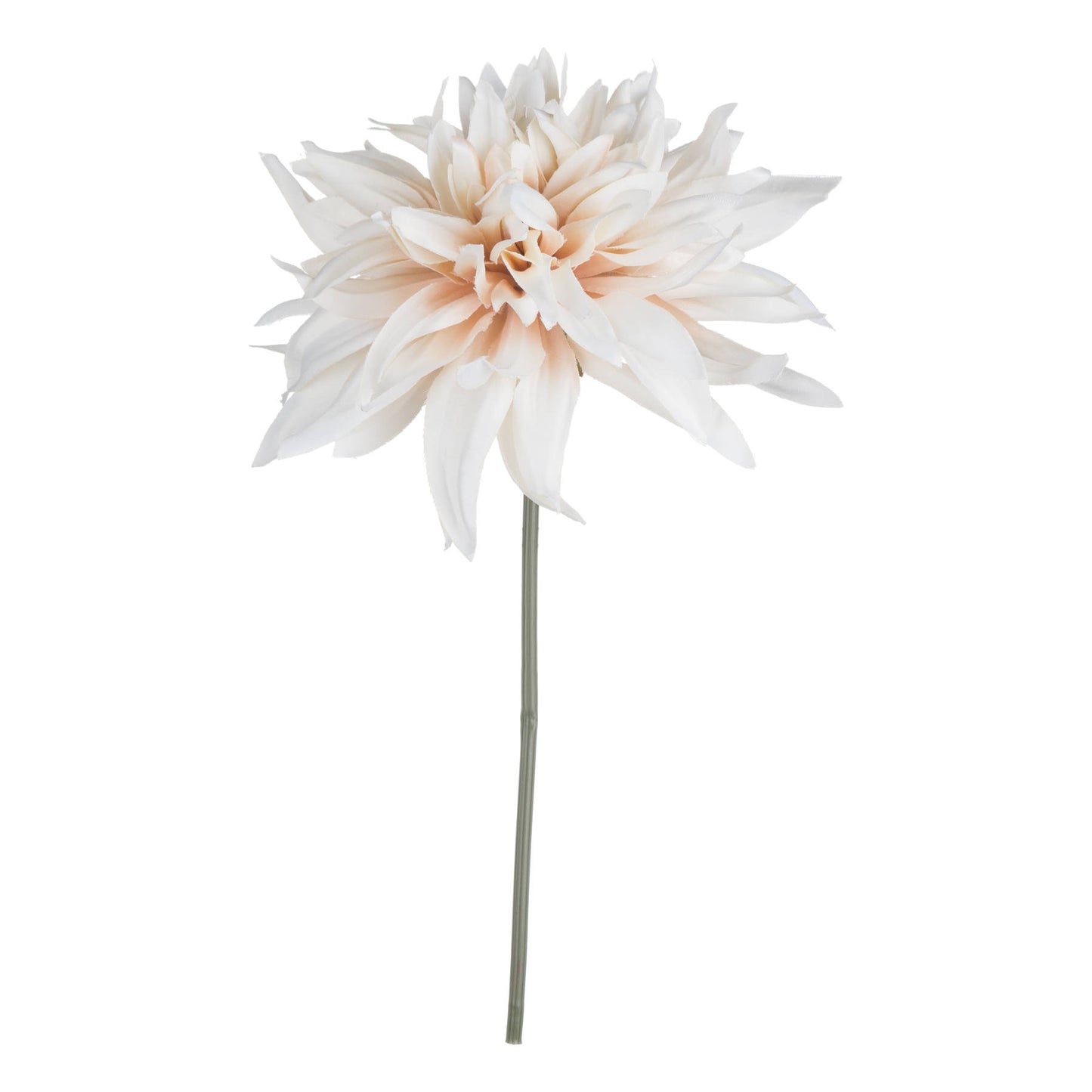 Cafe au lait Flower Stem