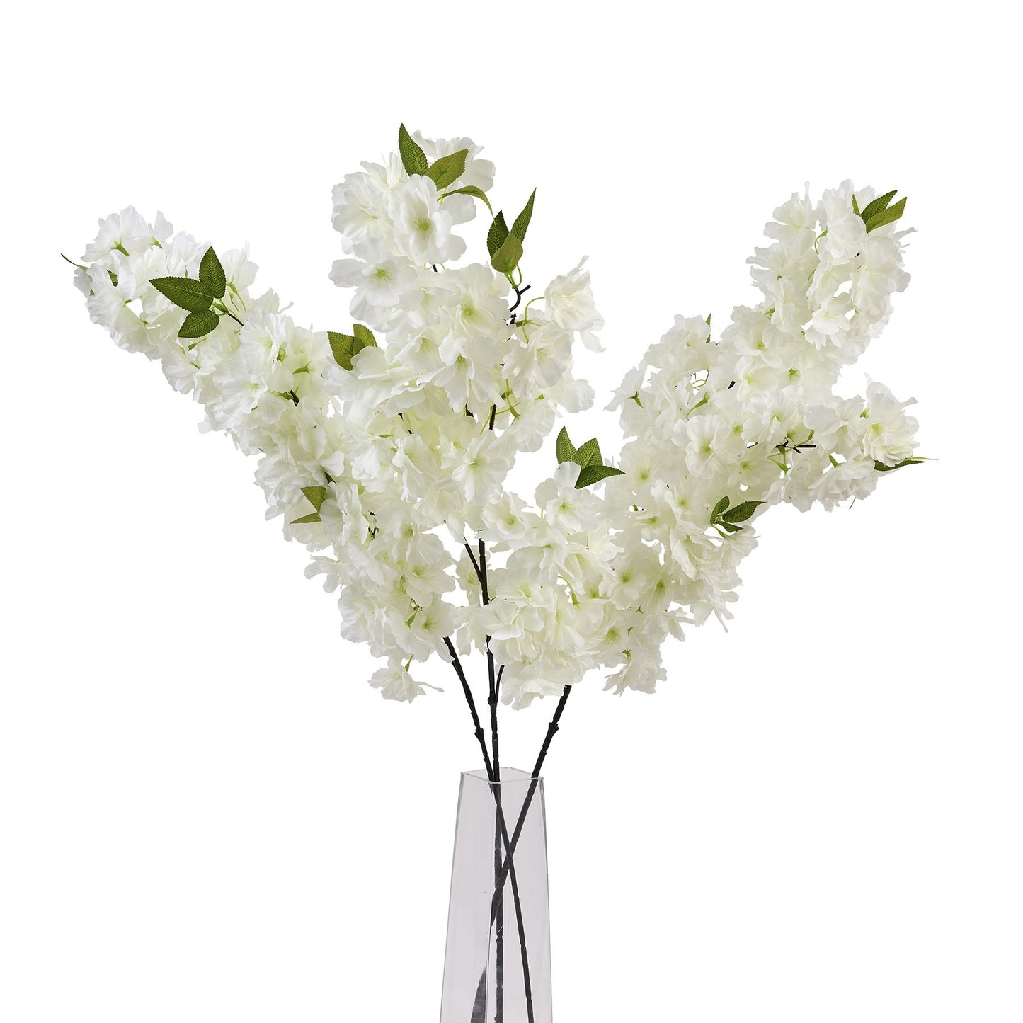 large White full Cherry Blossom Stem