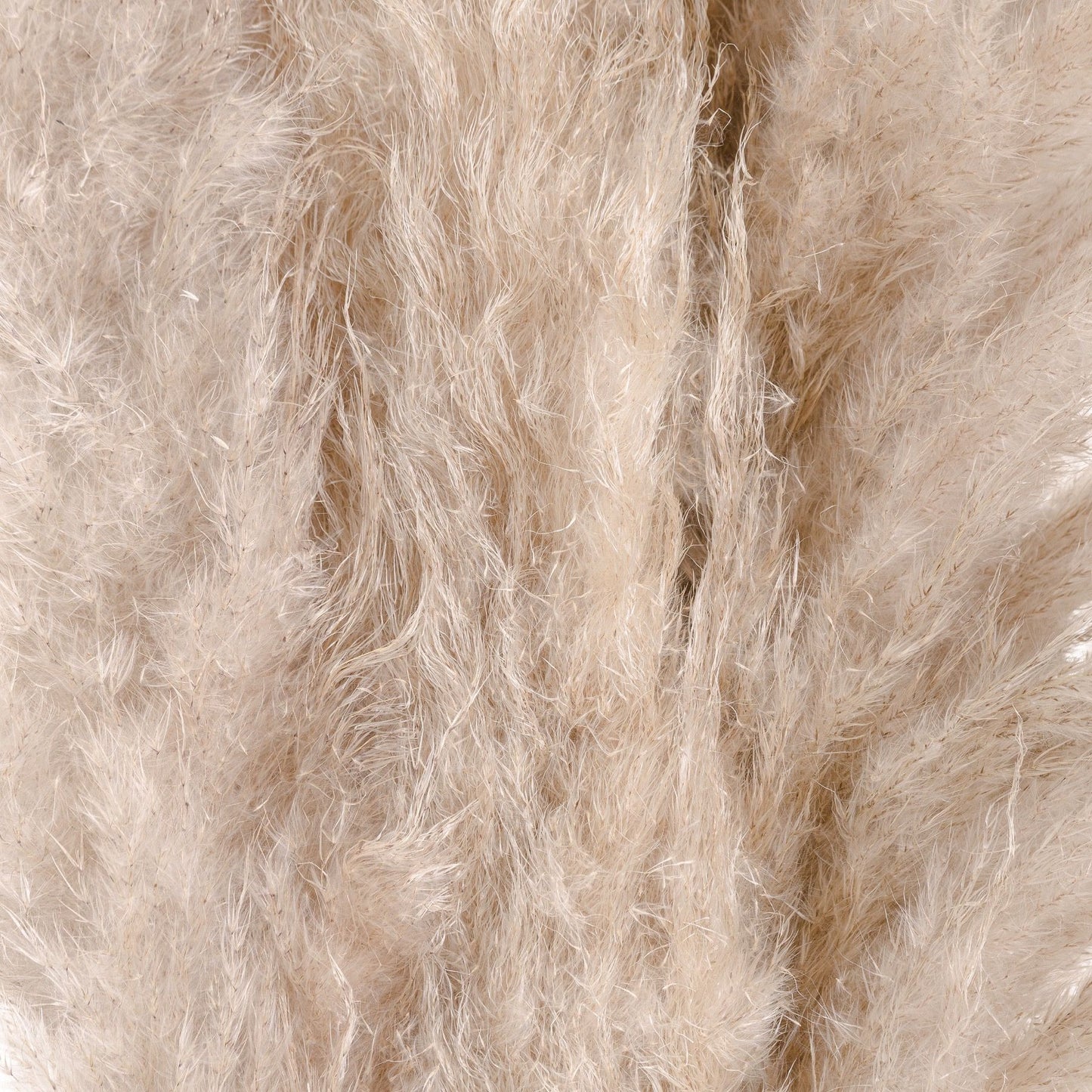 cream Pampas Grass X 3 stems.