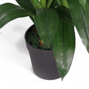 100cm Artificial Cymbidium Orchid Plant – Extra Large – White Flowers