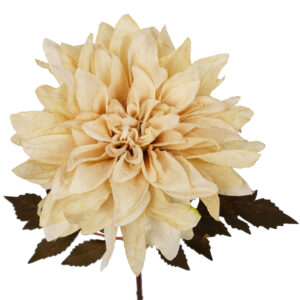 55cm Dahlia Flower Stems – Dusty cream x 6 silk stems