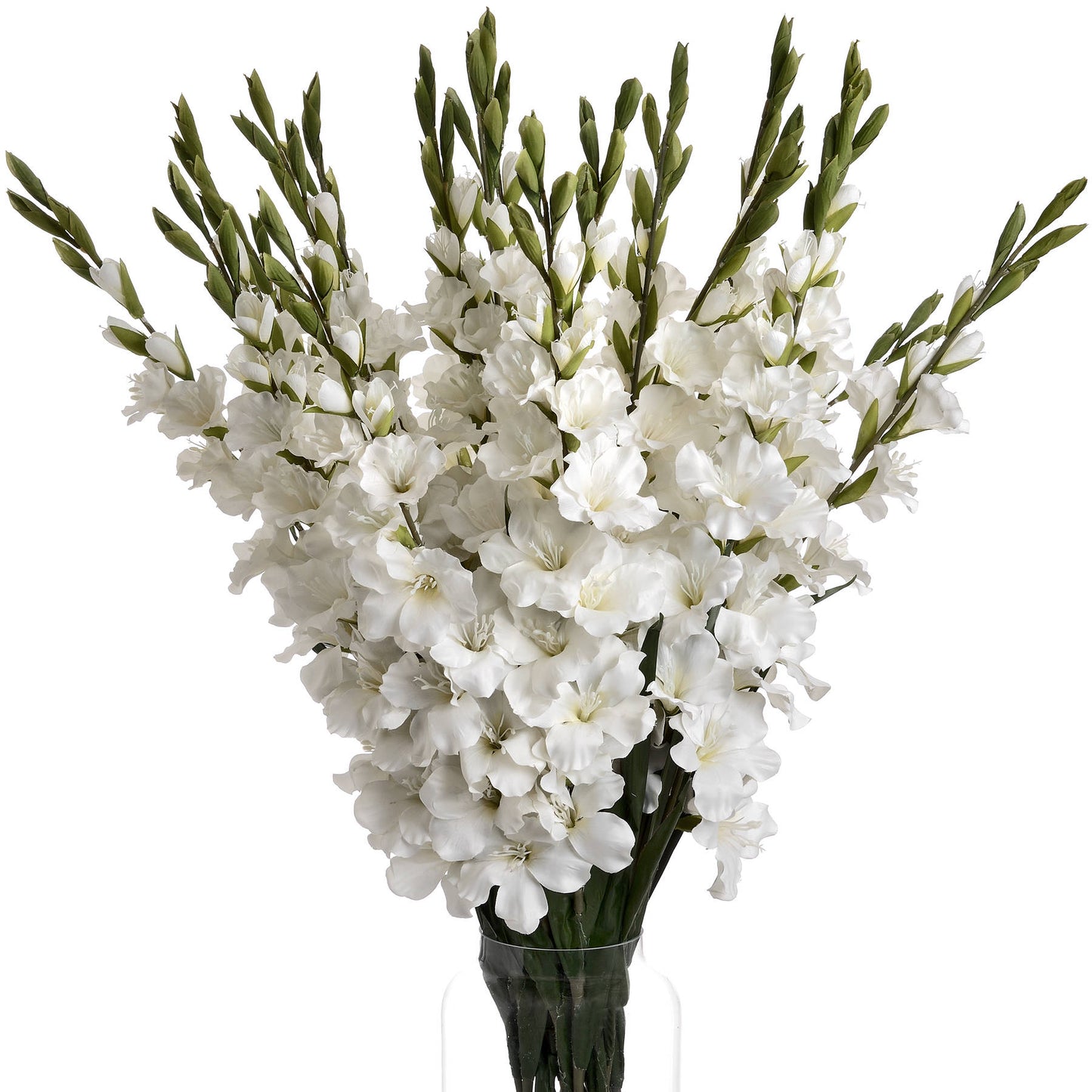Tall White Gladioli