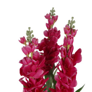 100cm Artificial Cymbidium Orchid Plant – Extra Large – Dark Pink Flowers