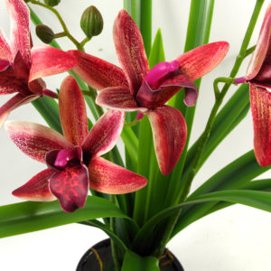 50cm Artificial Orchid in Ceramic Planter