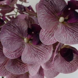 Pack of 6 x 100cm Artificial Phalaenopsis Orchid Purple Stems – 42 Flowers