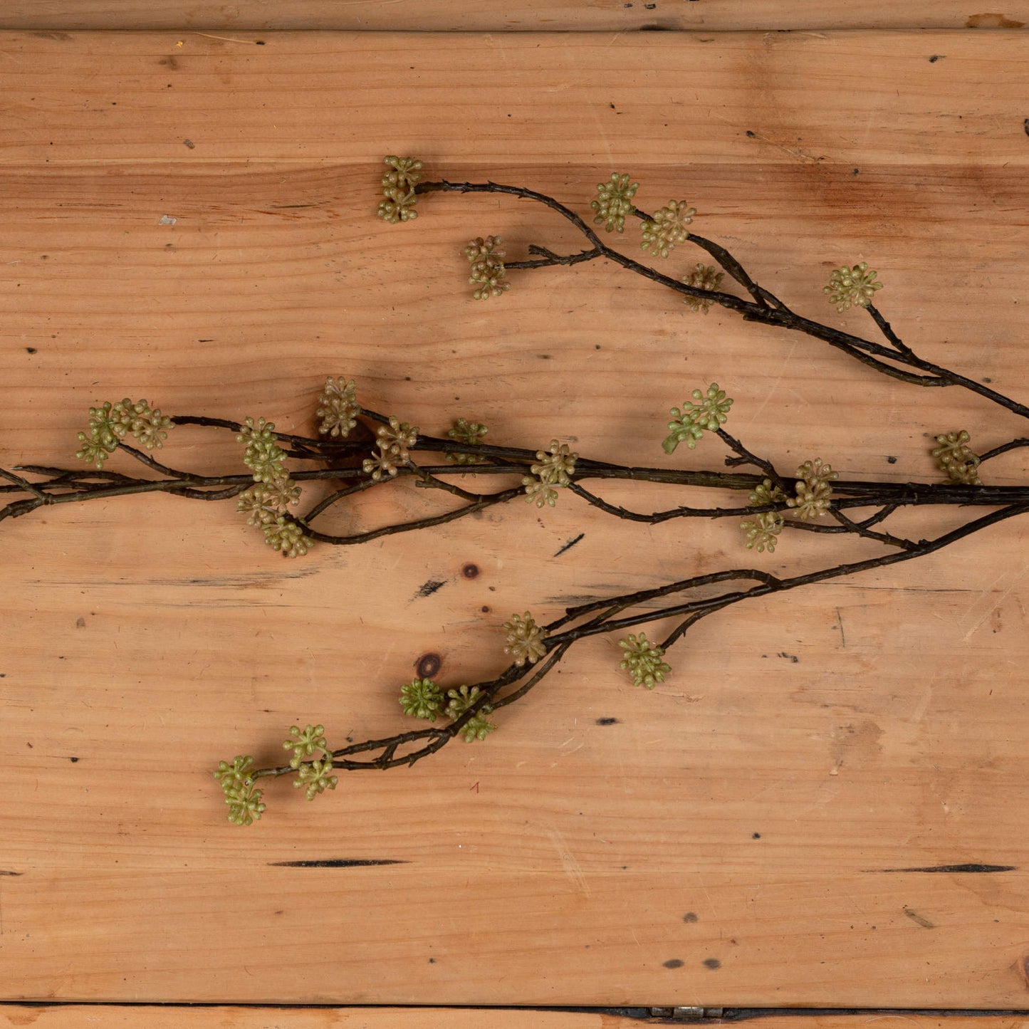 Sedum Branch in Bloom Filler