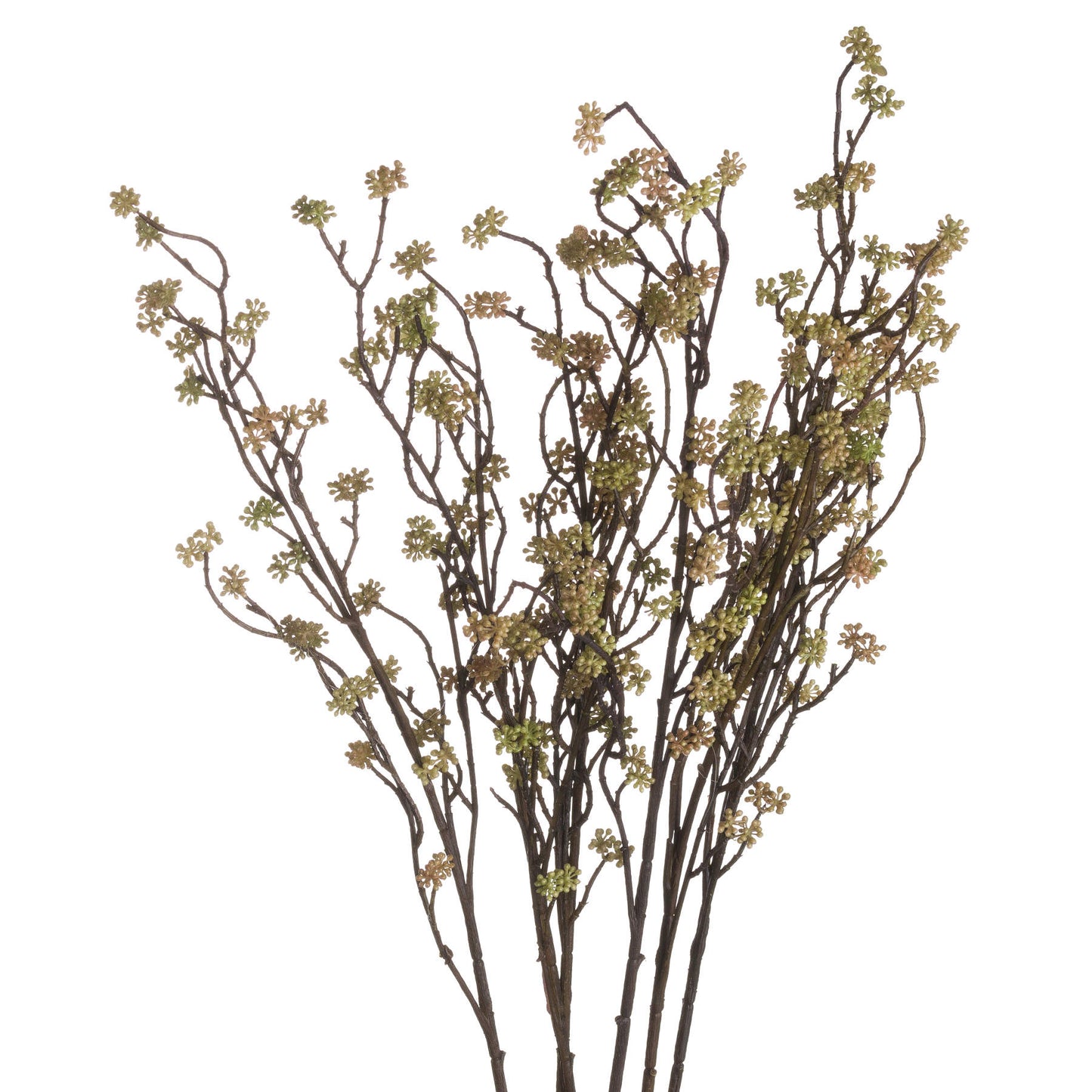 Sedum Branch in Bloom Filler