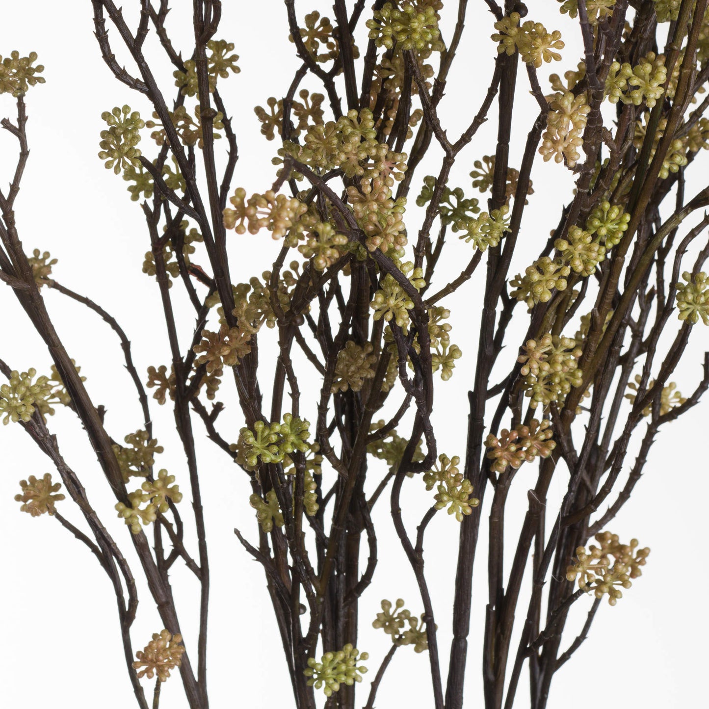 Sedum Branch in Bloom Filler