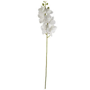 Pack of 6 x 100cm Artificial Phalaenopsis Orchid White Stems