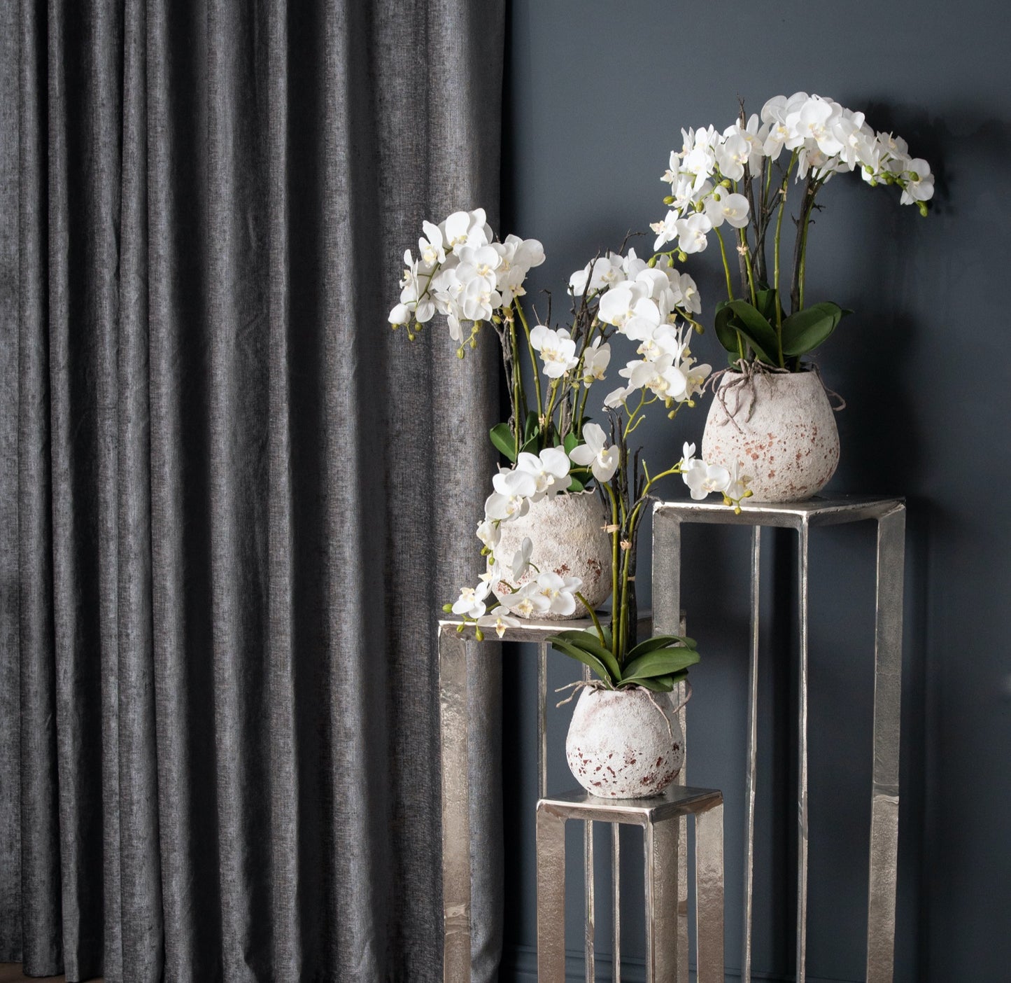 White Orchid in Stone Pot