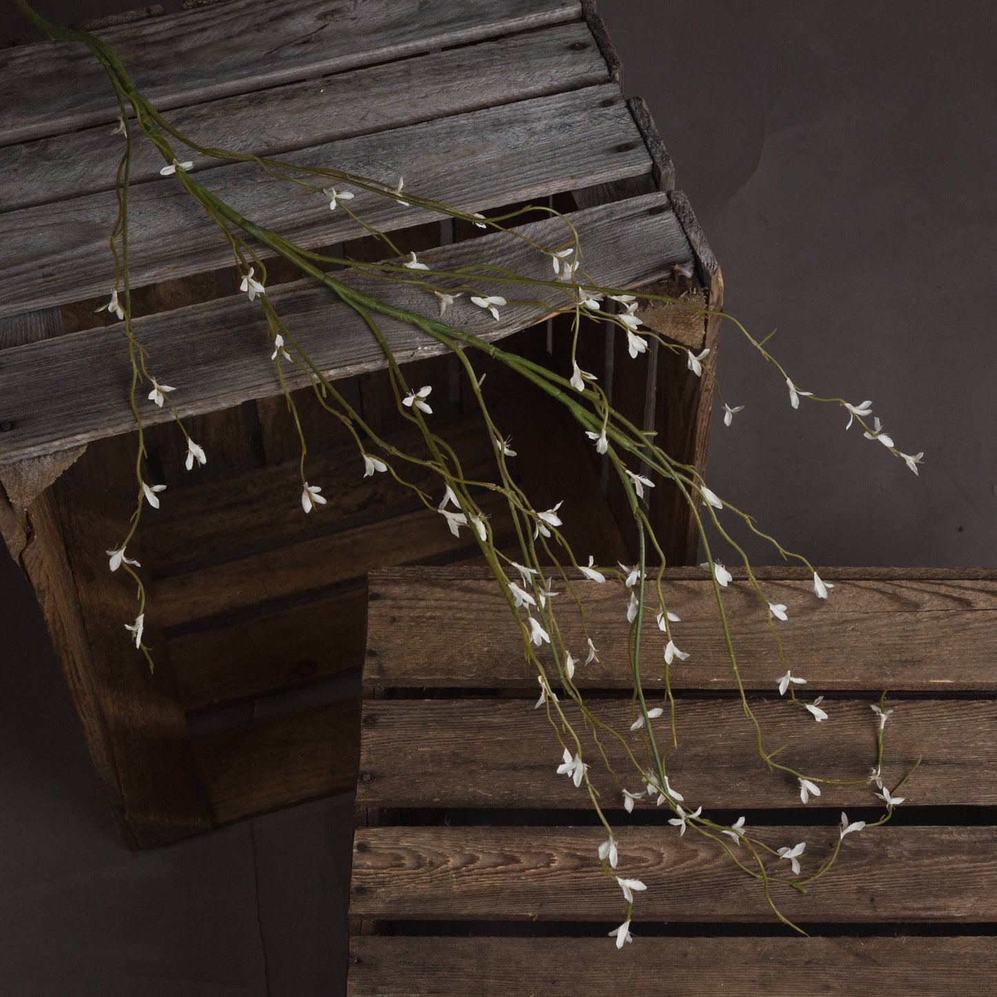 White Willow Sprays x 3