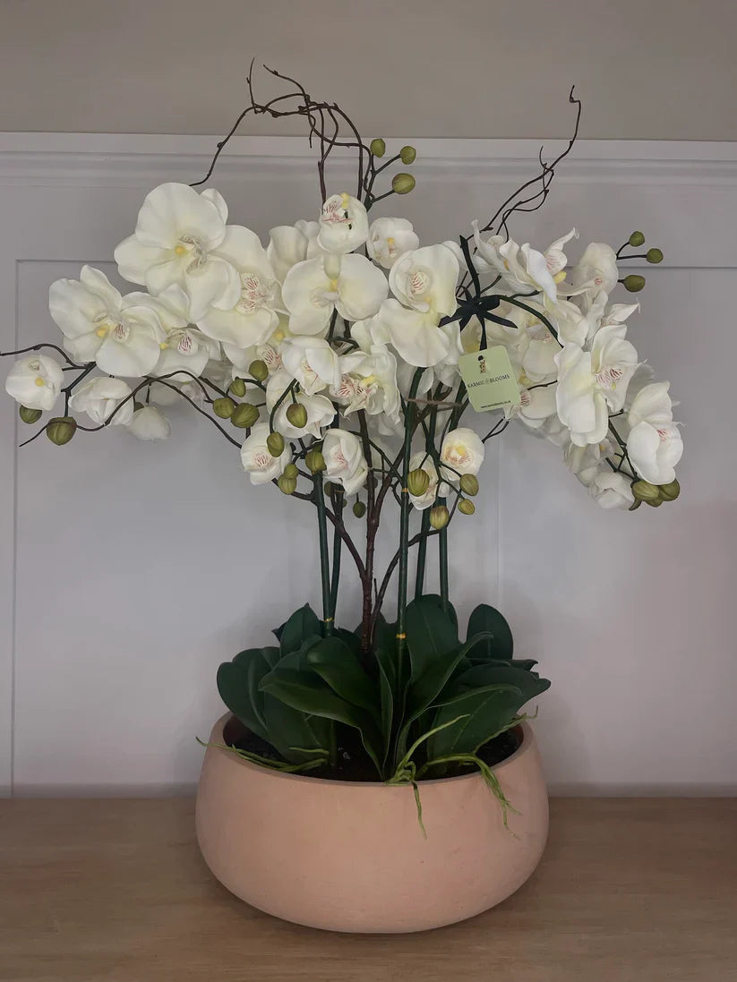 SIGNATURE ORCHID COLLECTION – Bespoke with Crystal Accents