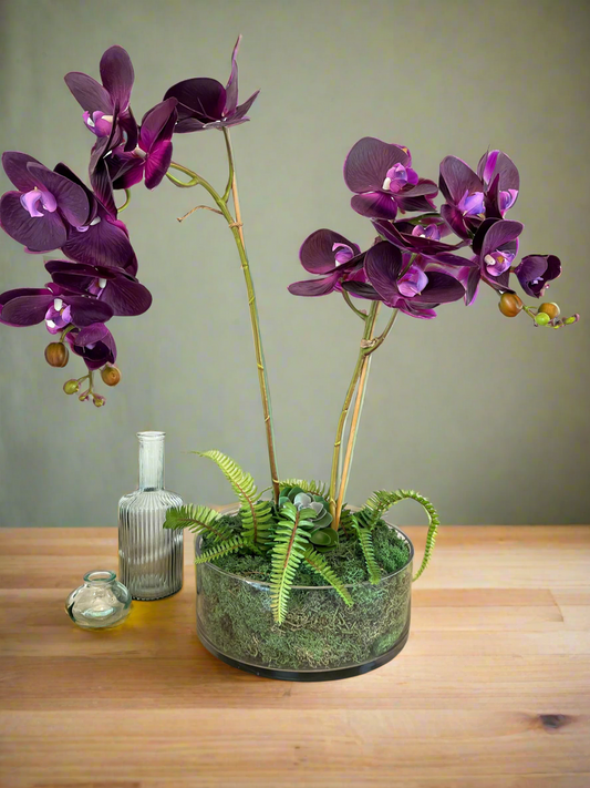 Opulent Orchid ©