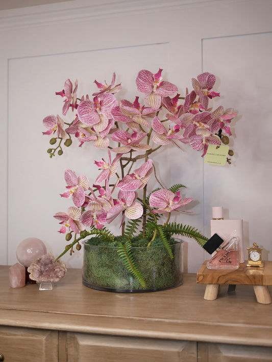 Candy Stripe Orchid ©