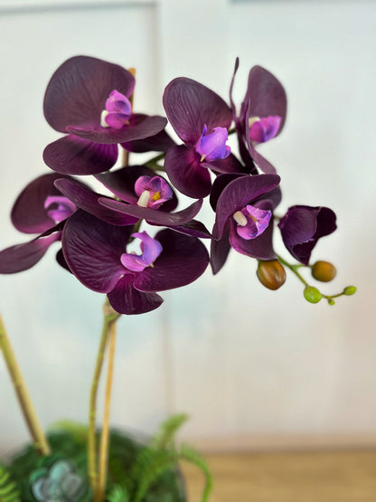 Opulent Orchid ©