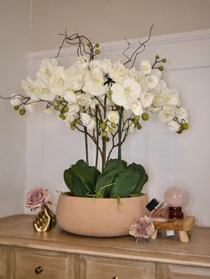 Halo Blush Orchid © with Rose Quartz