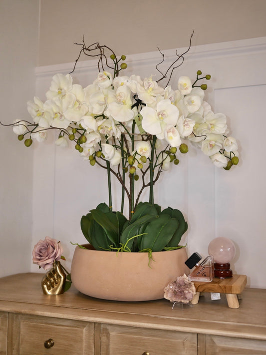 Halo Blush Orchid © with Rose Quartz