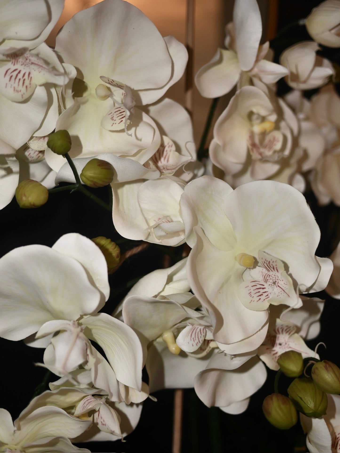 Champagne Quartz Orchid © with Clear Quartz
