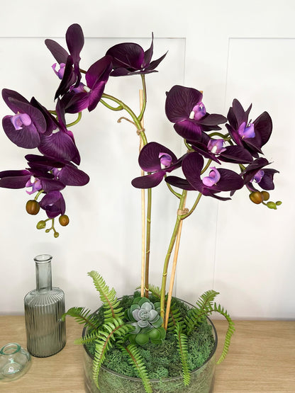 Opulent Orchid ©