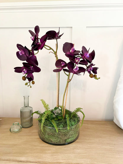Opulent Orchid ©