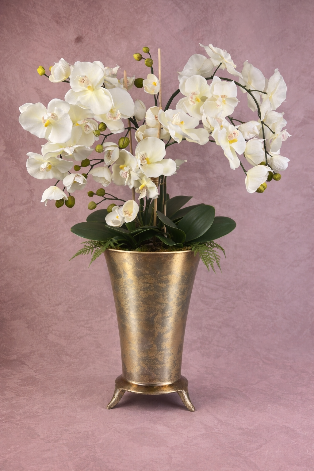 Easter Gift Orchid © SOLD OUT