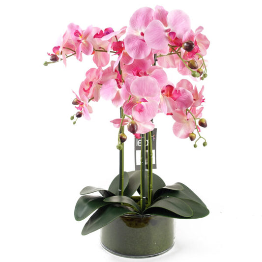 Pink Orchid in glass planter 50CMS