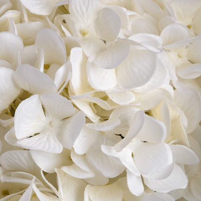 5 x Large White Hydrangea stems