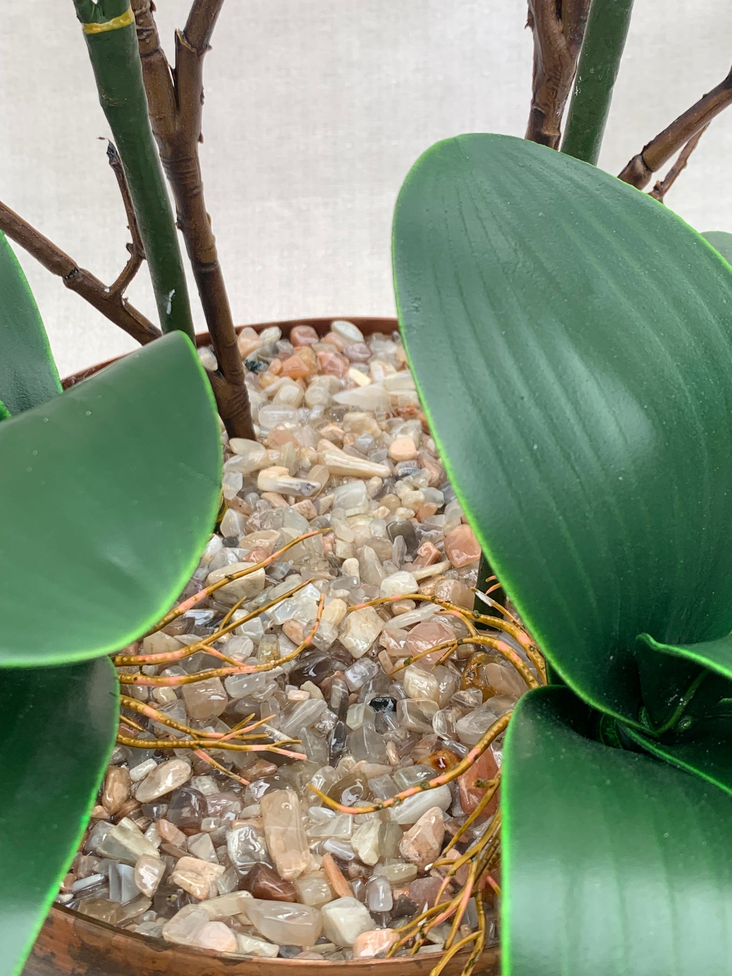Fitzrovia Bronze Orchid