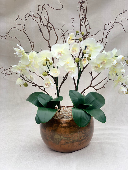 Fitzrovia Bronze Orchid