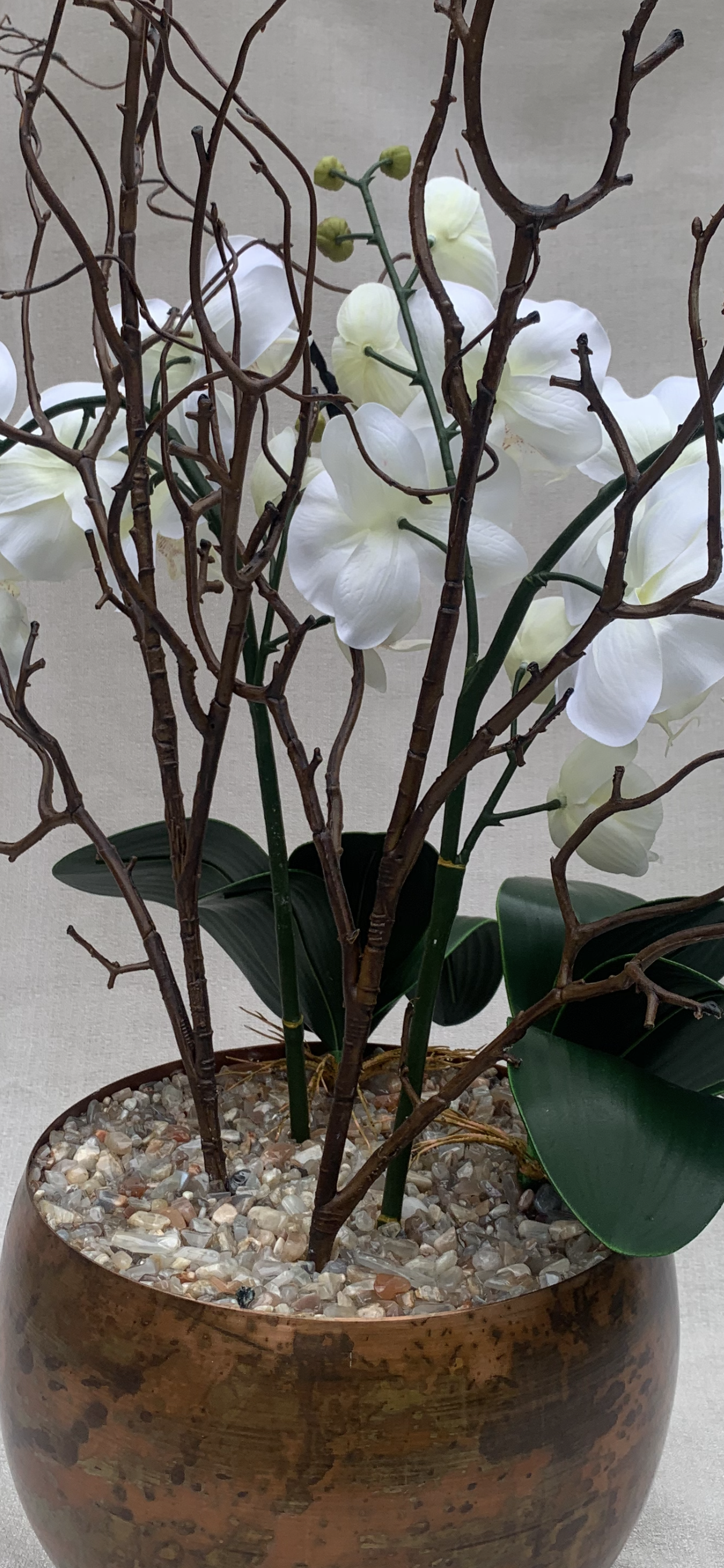 Fitzrovia Bronze Orchid