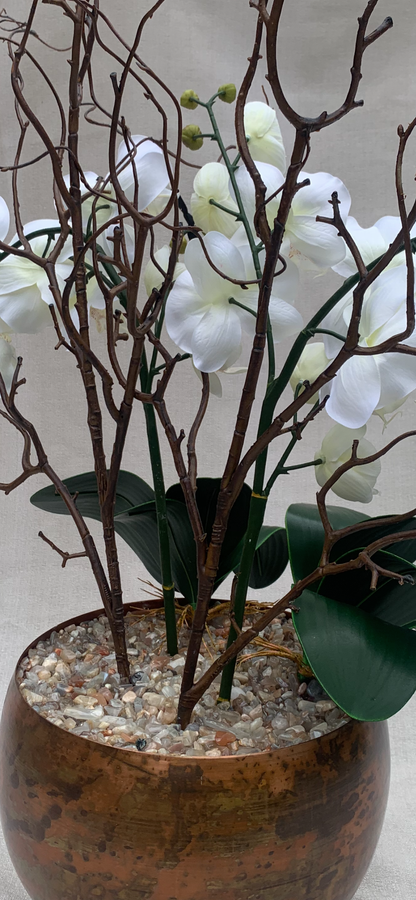 Fitzrovia Bronze Orchid