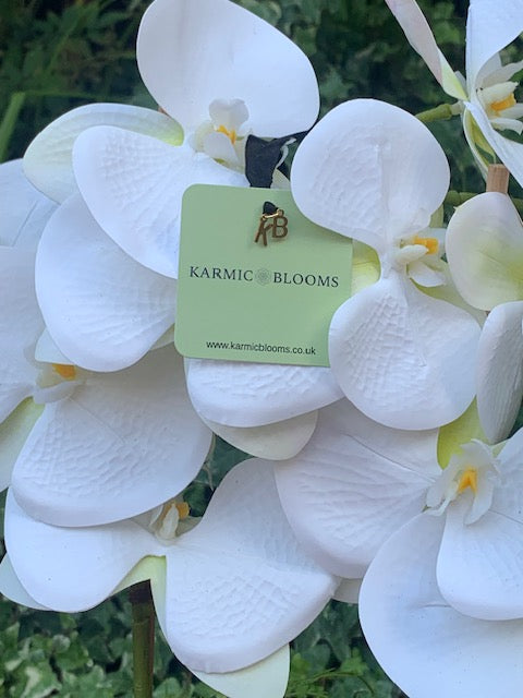 Fitzrovia Bronze Orchid