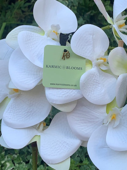 Fitzrovia Bronze Orchid
