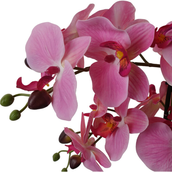 Pink Orchid in glass planter 50CMS