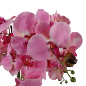Pink Orchid in glass planter 50CMS