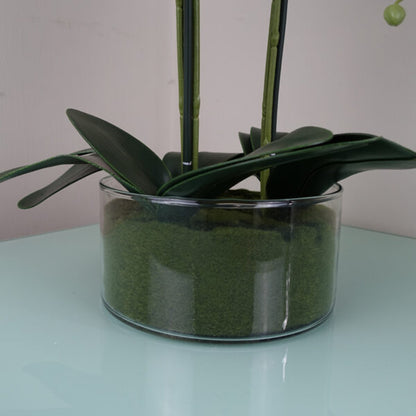 Pink Orchid in glass planter 50CMS