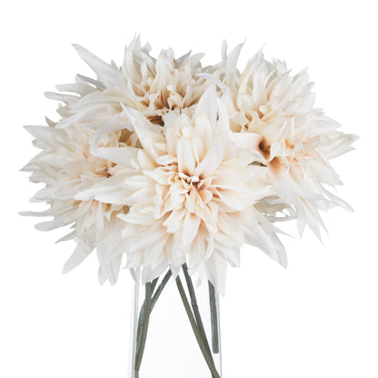 Cafe au lait Flower Stem