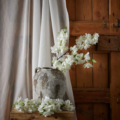 large White full Cherry Blossom Stem