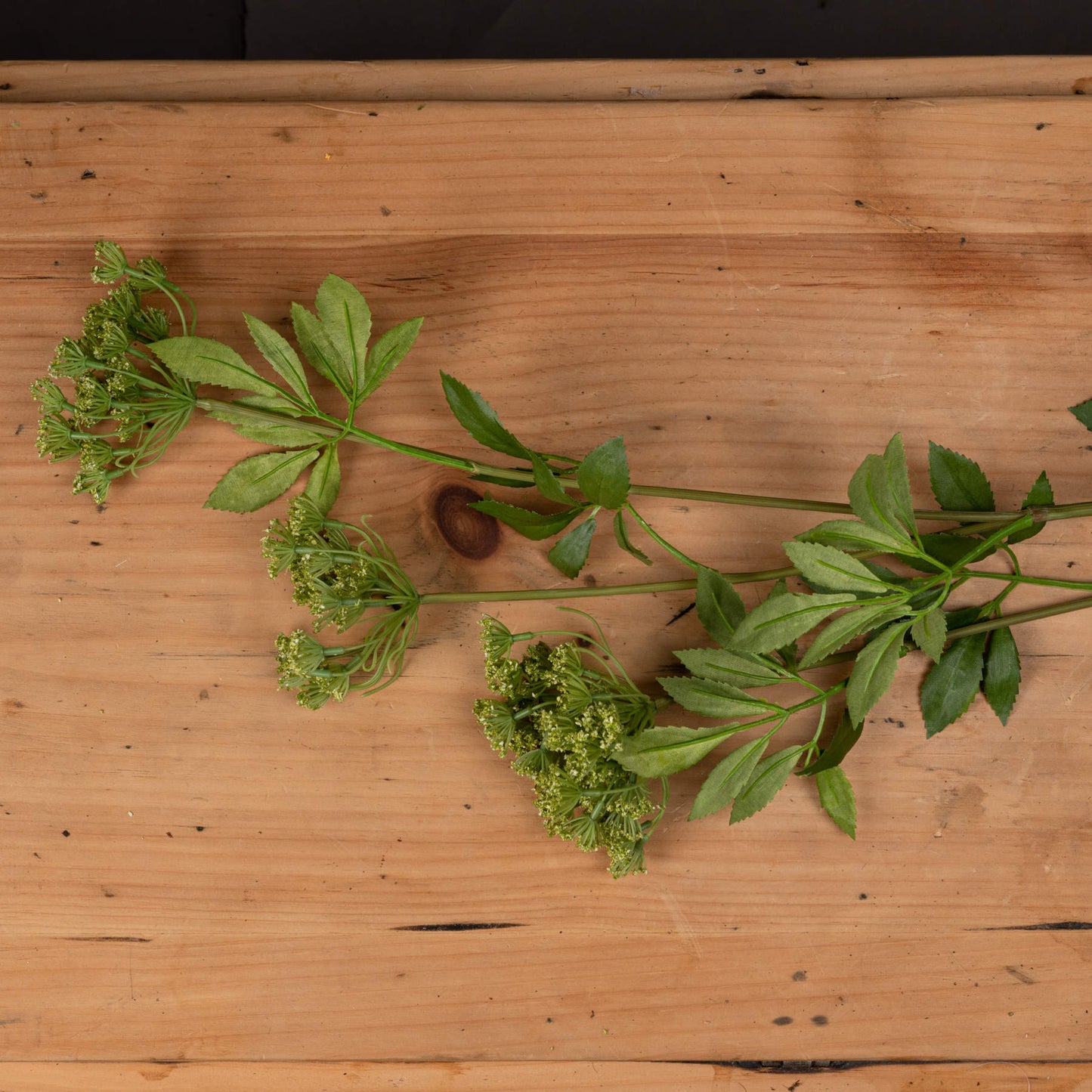 Faux Cow Parsley